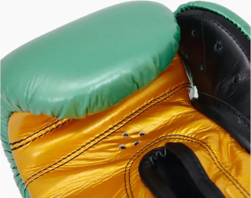 Cleto Reyes Traditional Boxing Gloves Hook and Loop Closure (WBC Green) - Image 5